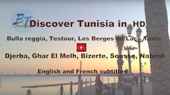 Musée du Bardo, Bulla reggia, Testour, Tunis, Djerba, Ghar El Melh, Bizerte, Sousse, Nabeul…in HD