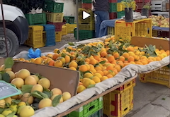 🌽 Saveurs, couleurs & voix : le marché hebdomadaire d’Ezzahra en 4K 🍅