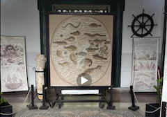 🐠 Immersion en 4K au cœur du Musée Océanographique de Salammbô | Dar El Hout 🐢