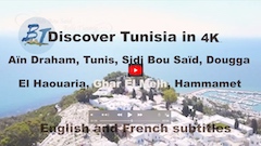 Aïn Draham, Tunis - Les Berges du Lac, Sidi Bou Saïd, Dougga, El Haouaria, Ghar El Melh, Hammamet...