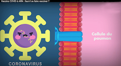 Vaccins COVID à ARN : faut-il se faire vacciner ?